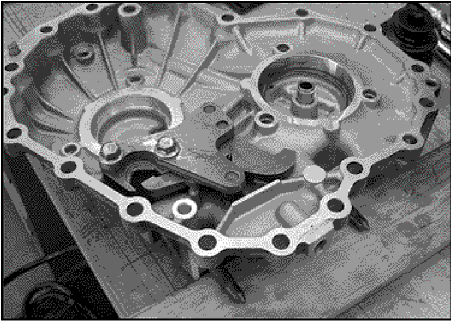 520065657_graphic-text244